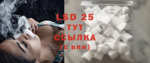 ешки Новодвинск