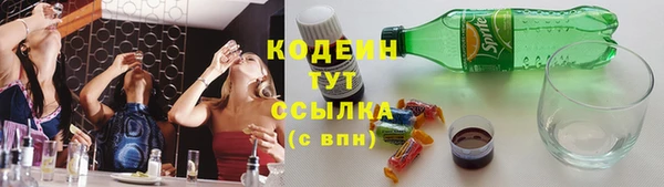 мдпв Новозыбков