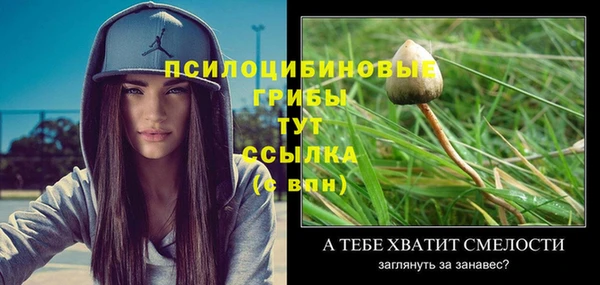 ешки Новодвинск