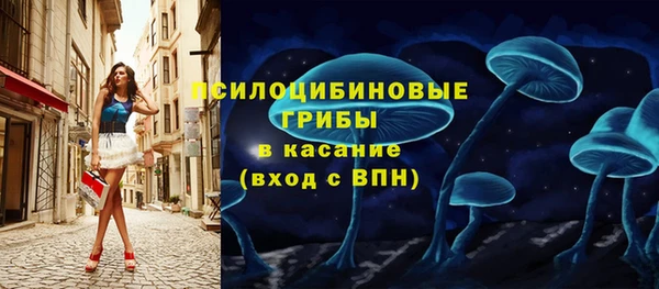 ешки Новодвинск