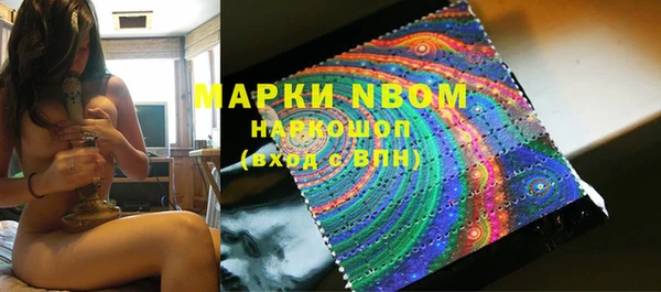 мдпв Новозыбков