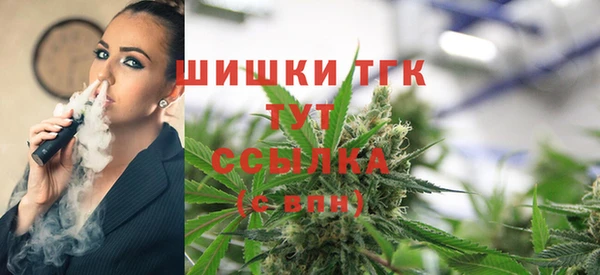 мдпв Новозыбков
