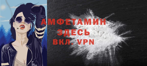 мдпв Новозыбков