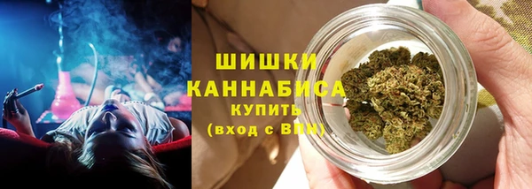 мдпв Новозыбков