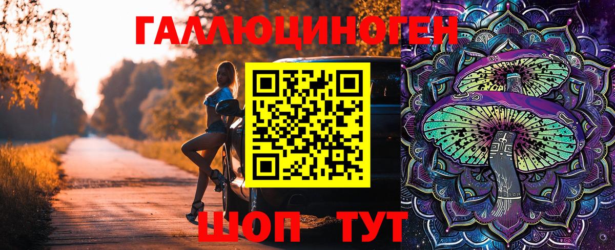 где продают   Псилоцибиновые грибы мицелий  Вход с VPN  Чита 
