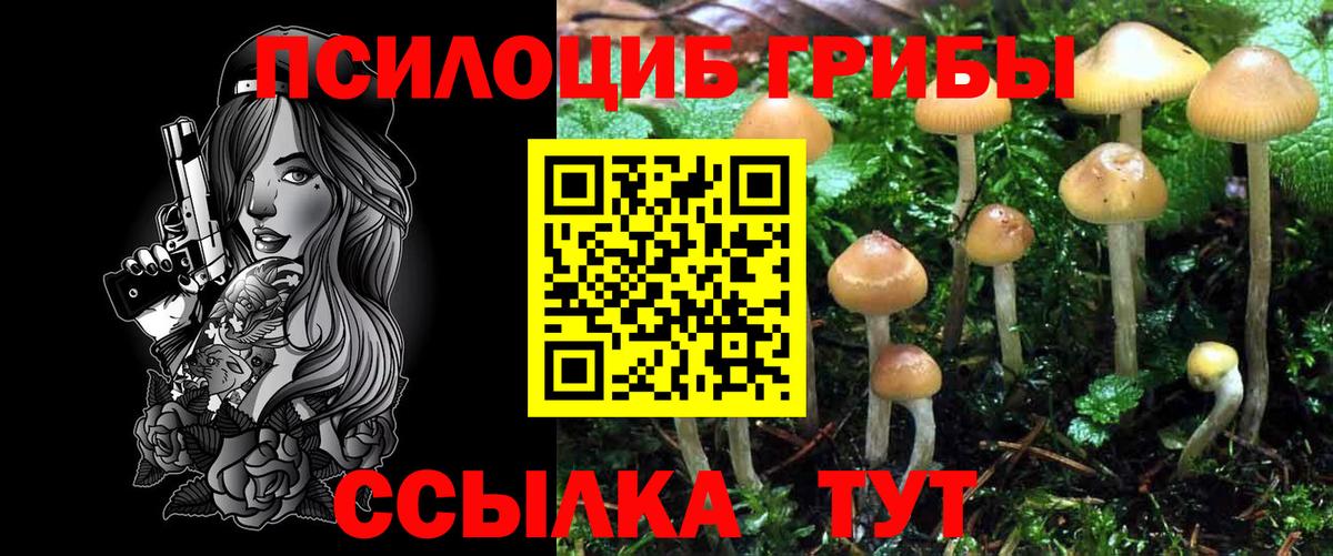 Галлюциногенные грибы GOLDEN TEACHER Чита
